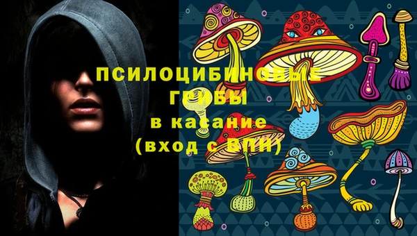 стафф Абаза