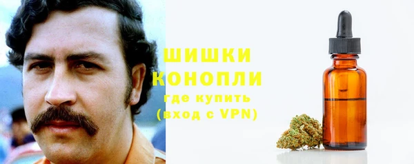 шишки Алексин