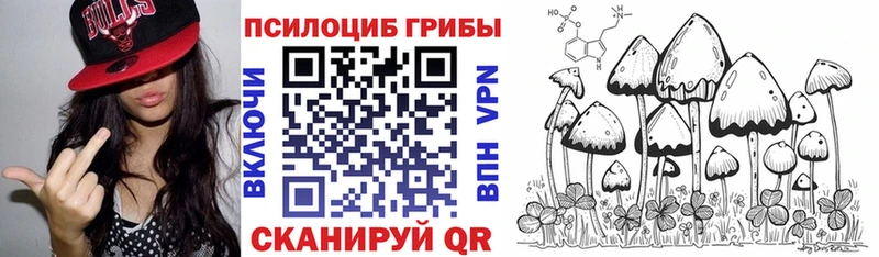 Псилоцибиновые грибы ЛСД  Яхрома 